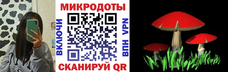 blacksprut зеркало Вязники Галлюциногенные грибы Psilocybine cubensis купить